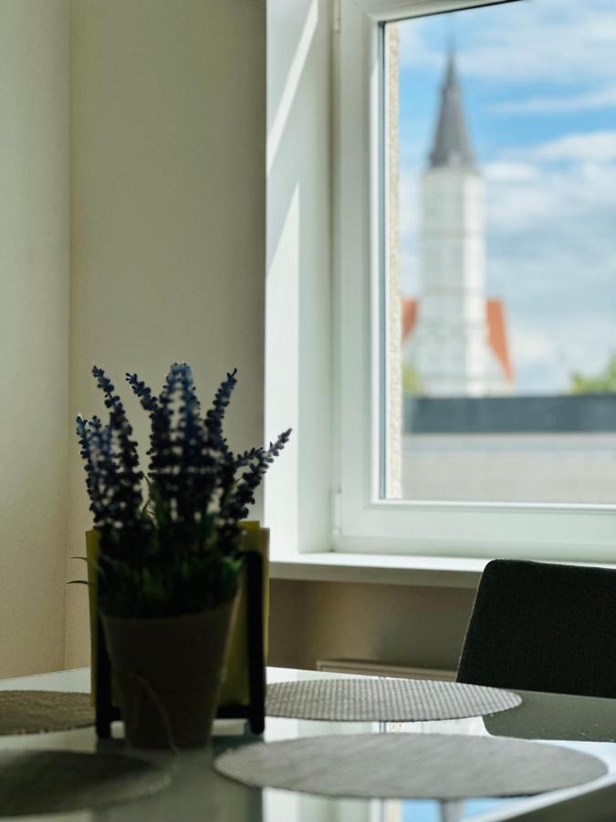 Apartamento Butas Paciame Siauliu Miesto Centre Šiauliai Exterior foto